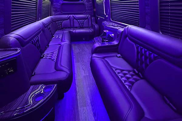 Ann Arbor van services